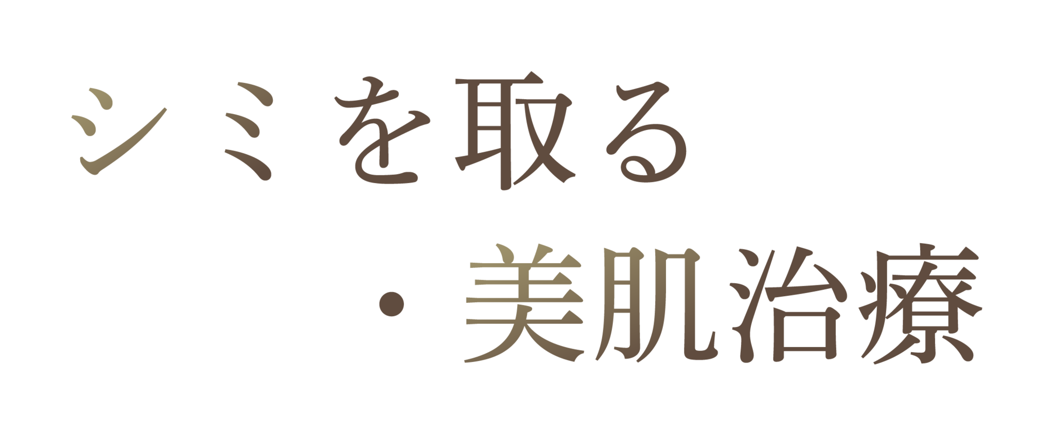 土浦・石岡でシミ・美肌治療を提供している石岡皮膚科内科クリニックのファーストビュー